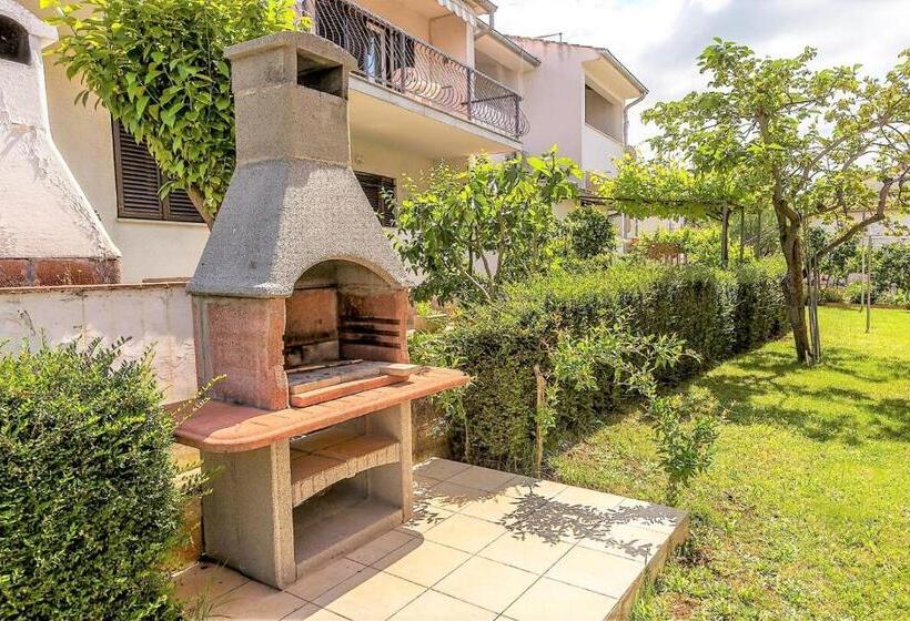شقة غرفة واحدة مزودة بتراس, Apartment Complex Silva Rovinj