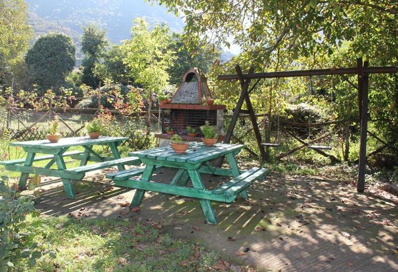 דירת חדר, Artemis Apartments