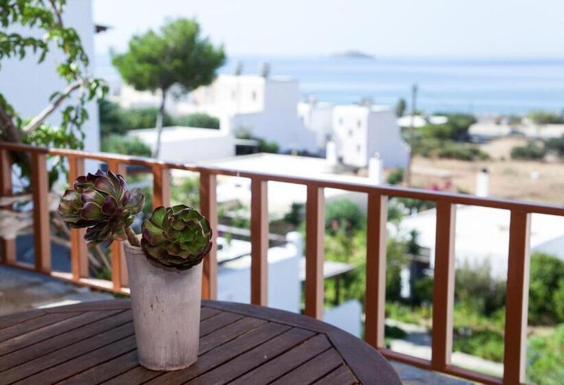 استودیوی استاندارد با چشم‌انداز دریا, Ionia Studios