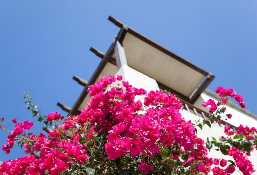 استودیوی استاندارد با چشم‌انداز دریا, Ionia Studios