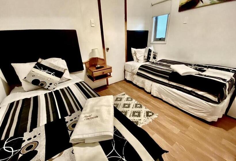 اتاق استاندارد, Hostal Concepcion