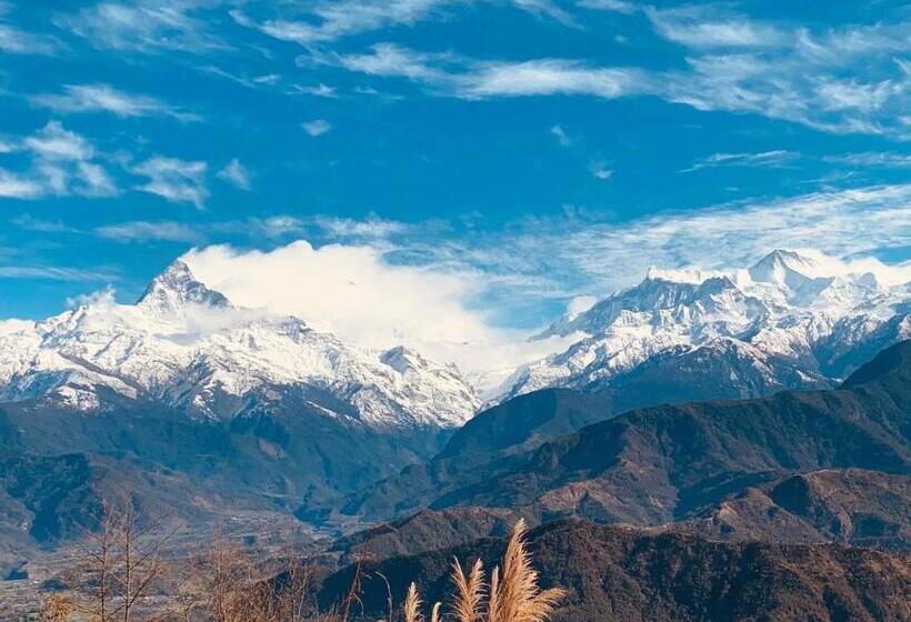 اتاق لوکس, Pristine Himalaya