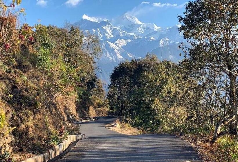 اتاق خانوادگی, Pristine Himalaya
