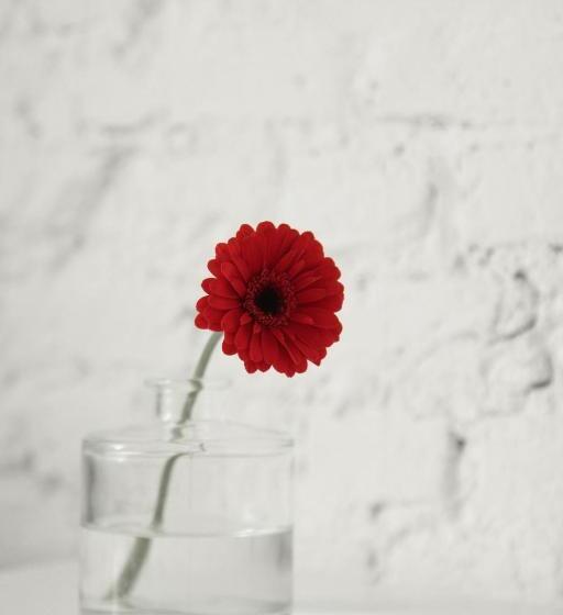 سوییت لوکس, Maison Nationale City Flats & Suites