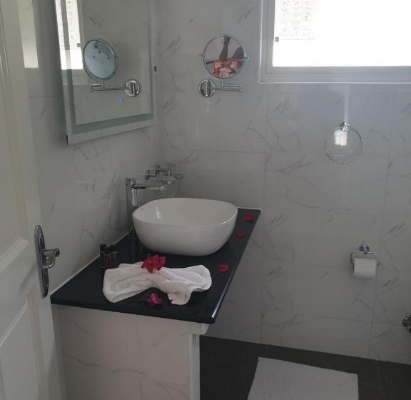 اتاق استاندارد با تخت بزرگ, Villa Authentique