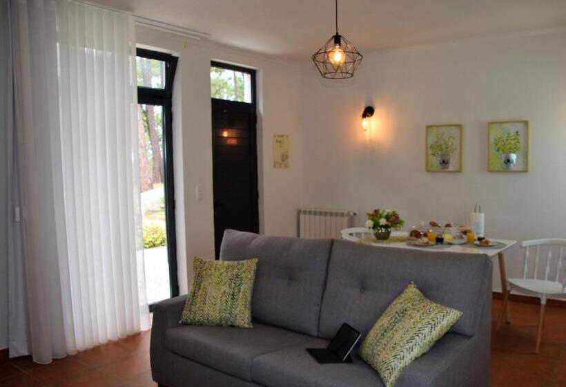 شقة غرفة واحدة, Ohai Nazare Outdoor Resort