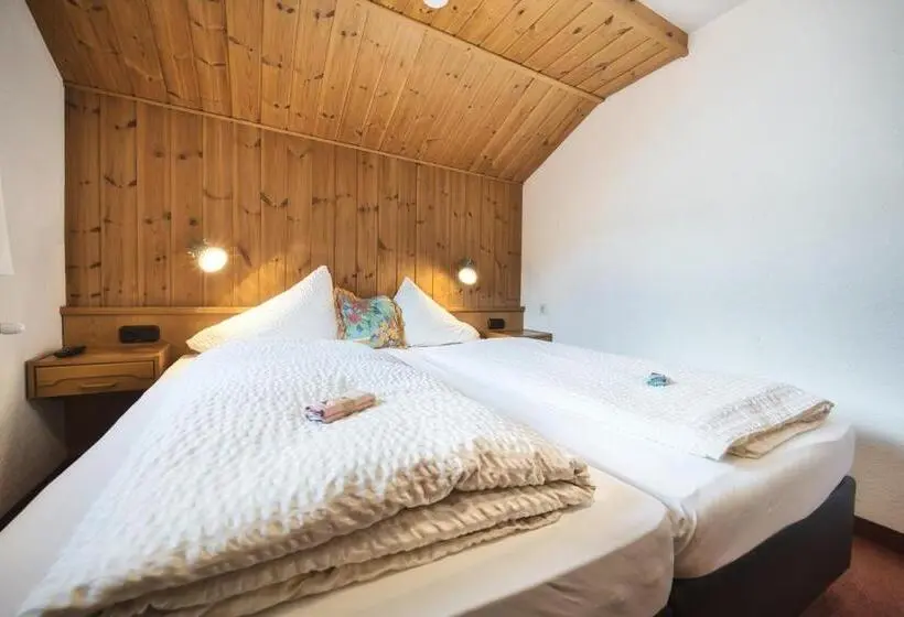 バス共有のスタンダードルーム, Pension Der Steinbock Das 300 Jahre Alte Bauernhaus Tirol