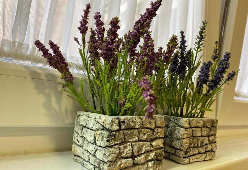 استودیوی استاندارد, Apartments & Rooms Mostar Story