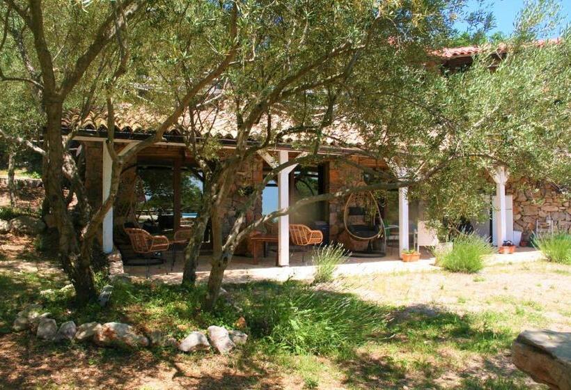 标准间带游泳池, Boutique B&b Agroturizam Sv. Juraj