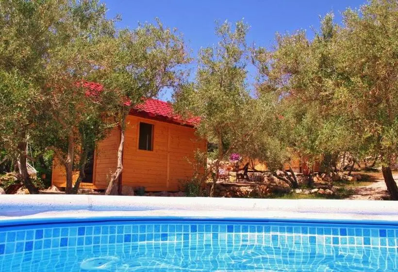 オーシャンビューのスタンダードバンガロー, Boutique B&b Agroturizam Sv. Juraj