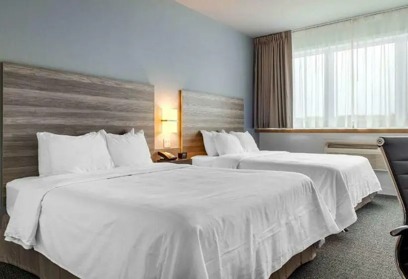 Standard Room 2 Double Beds, Rodeway Inn
