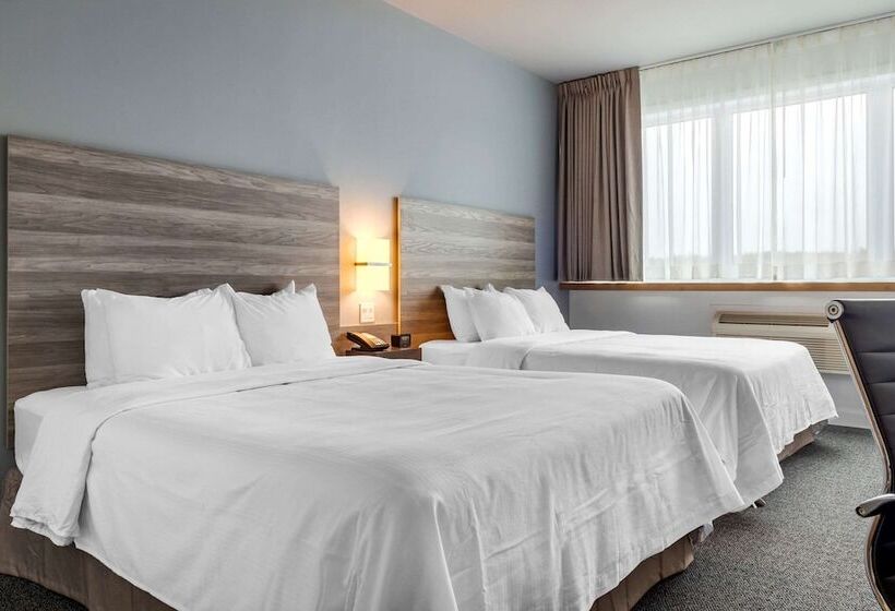 Номер Стандарт 2 Двуспальные Кровати, Rodeway Inn