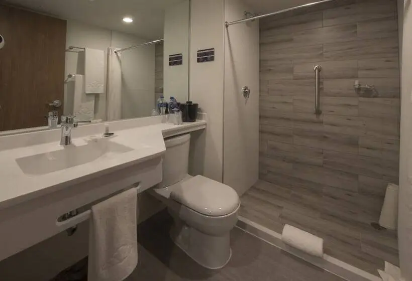 ２ダブルベッドのスタンダードルーム, Microtel Inn & Suites By Wyndham Irapuato