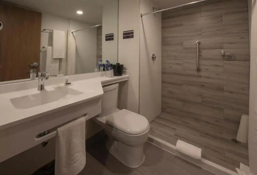 身障者適用スタンダードルーム, Microtel Inn & Suites By Wyndham Irapuato