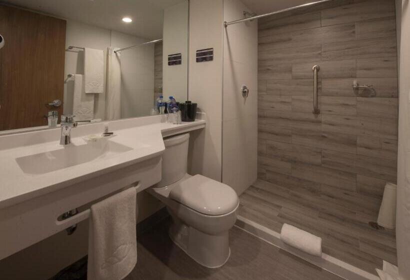 スタンダードルーム, Microtel Inn & Suites By Wyndham Irapuato
