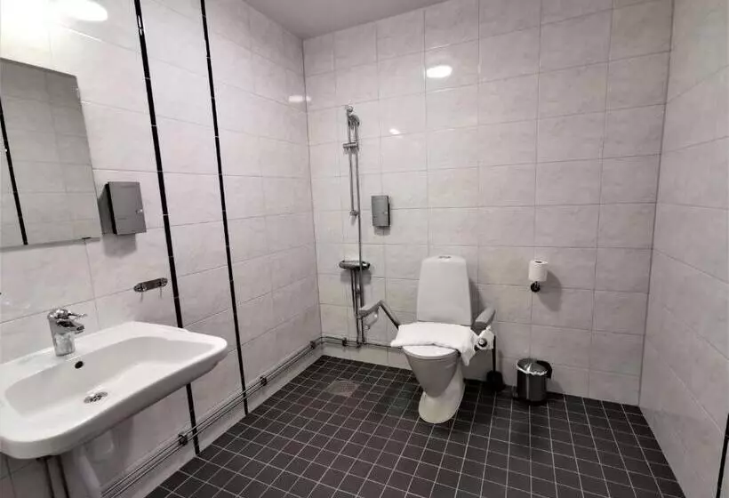 اتاق استاندارد برای معلولان, 2home Hotel Gävle