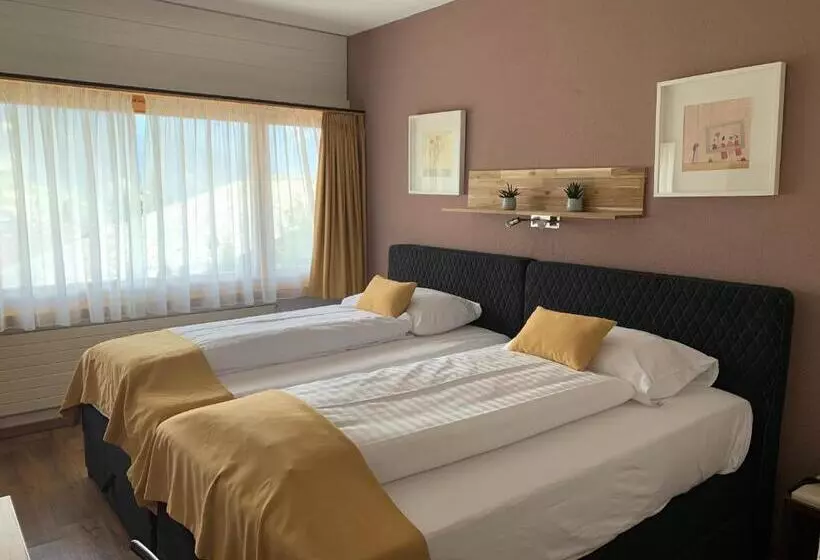 اتاق استاندارد با چشم‌انداز, Chalet Hotel Beau Site