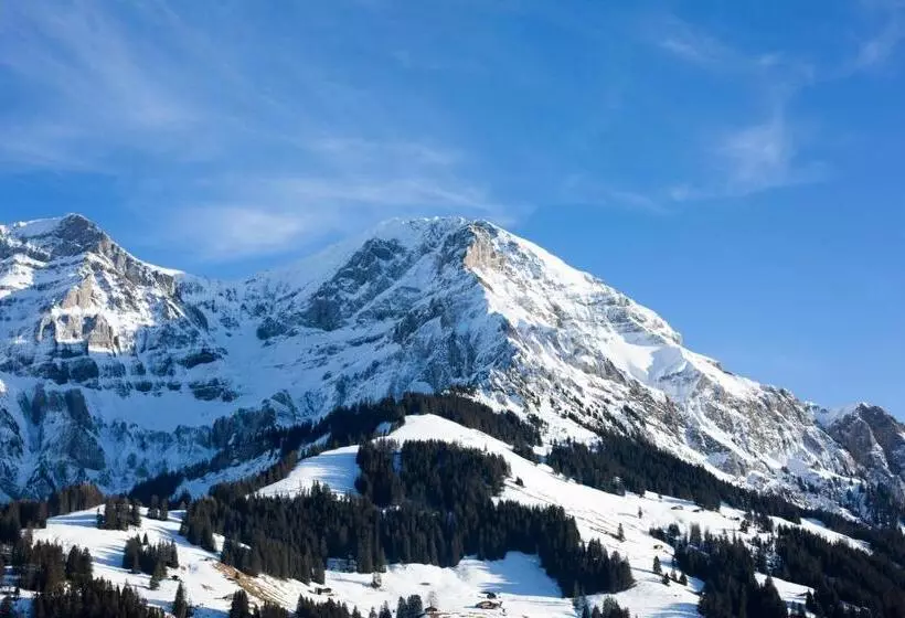 اتاق استاندارد با چشم‌انداز, Chalet Hotel Beau Site