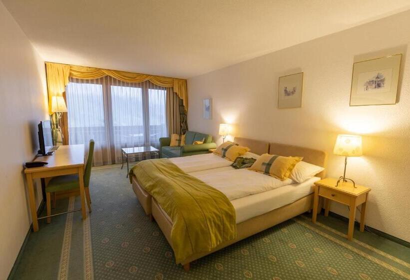 غرفة ديلوكس مطلة على الجبل, Chalet Hotel Beau Site