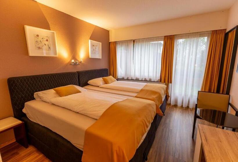 Номер Стандарт Вид на Горы, Chalet Hotel Beau Site