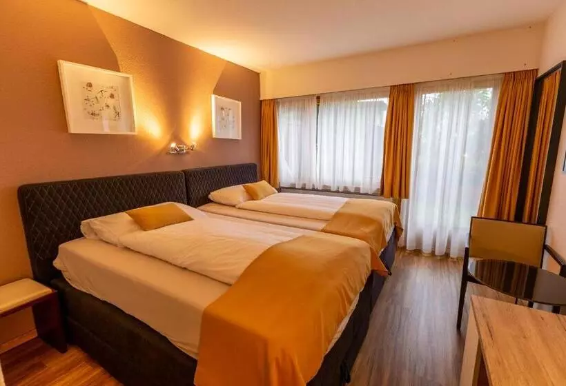 اتاق استاندارد با چشم‌انداز کوهستان, Chalet Hotel Beau Site