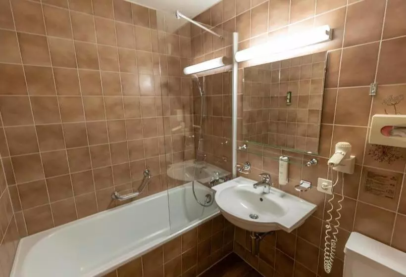 اتاق استاندارد با بالکن, Chalet Hotel Beau Site