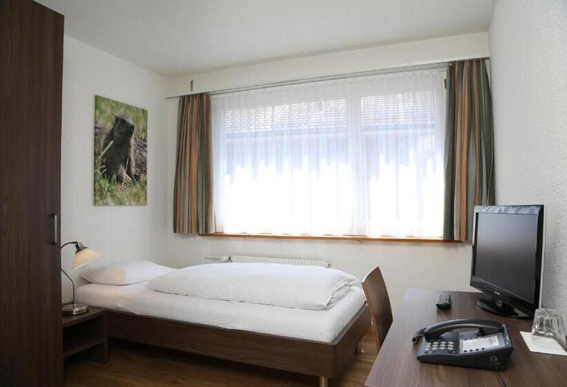 スタンダードシングルルーム, Crystal Interlaken