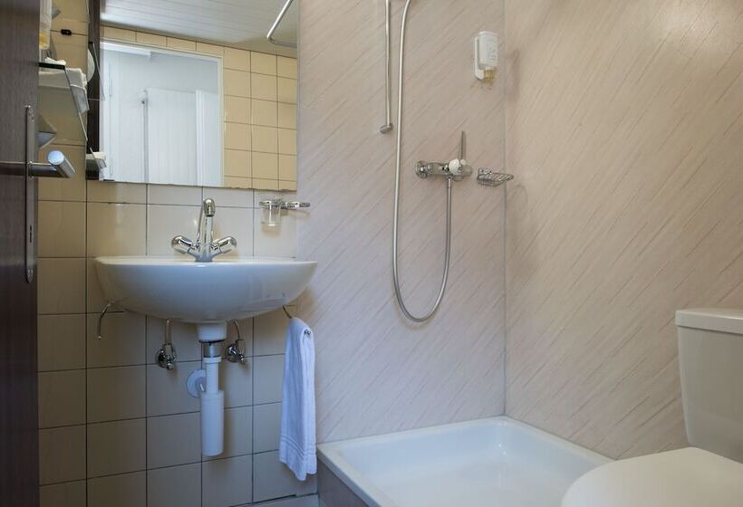 Komfort Einzelzimmer, Jungfrau