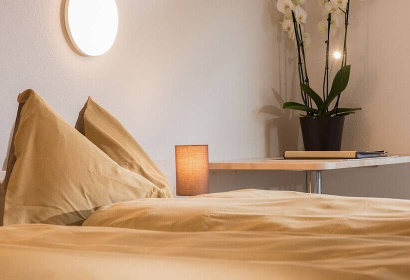 Komfort Einzelzimmer, Jungfrau