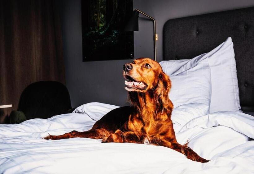 スタンダードルーム, L Sodra Berget