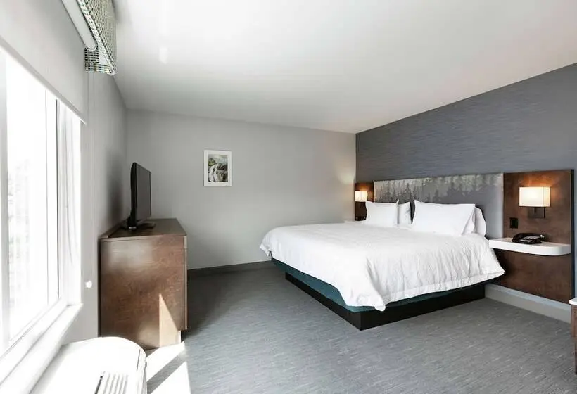 استودیوی استاندارد با تخت دوبل, Hampton Inn & Suites By Hilton Quebec City Beauport