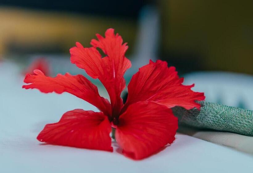 سوییت خانوادگی, Villa Malindi