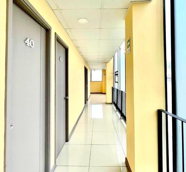 اتاق اکونومی یک تخته, Blu Bascuñan