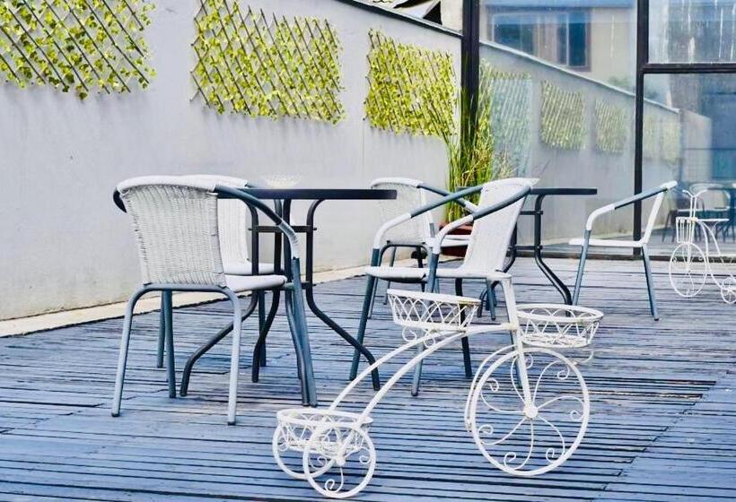 חדר אקונומי יחיד, Blu Bascuñan