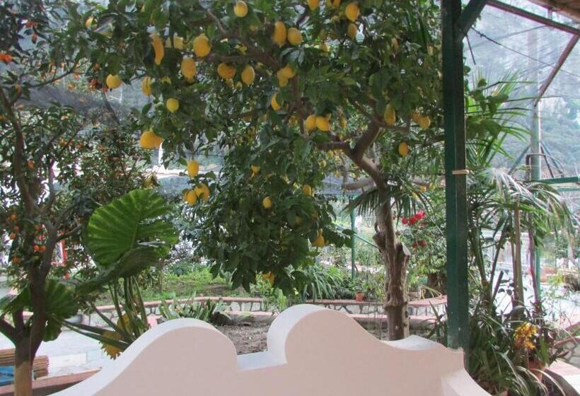 Номер Стандарт, B&b Palazzo A Mare