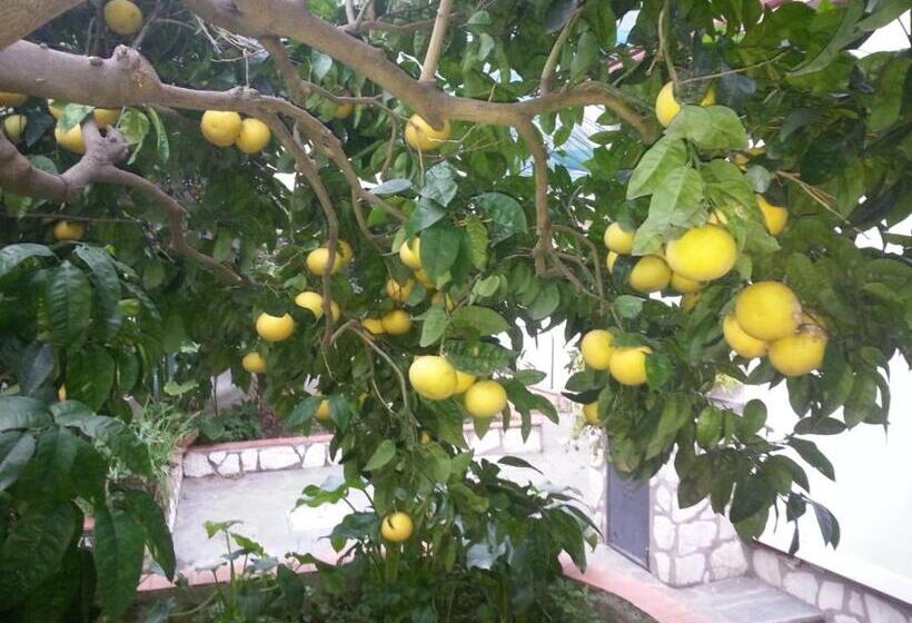 Апартаменты 1 Спальня, B&b Palazzo A Mare