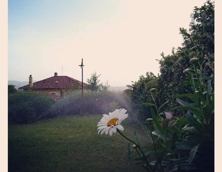 コンフォートトリプルルーム, Agriturismo Monte Cologna