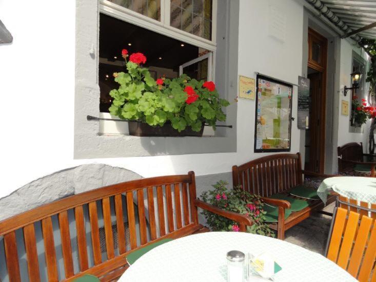 패밀리 룸, Gute Quelle