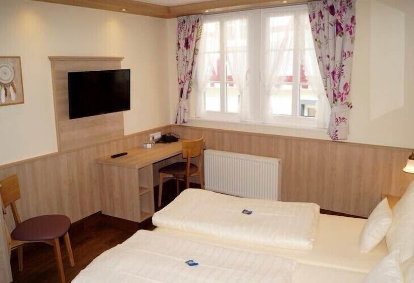 스탠다드 룸, Gute Quelle