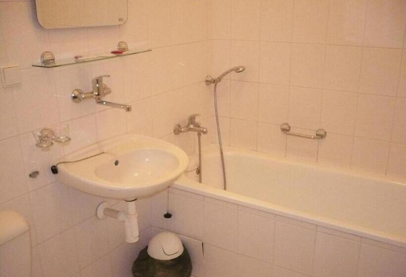 Номер Стандарт, Růže