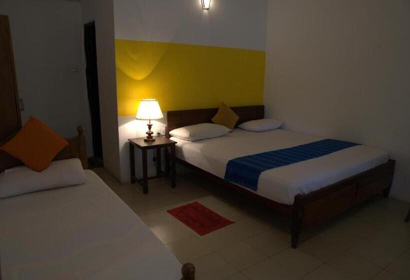 Трехместный Номер Стандарт Вид на Бассейн, Wasu Villa Hotel Dambulla