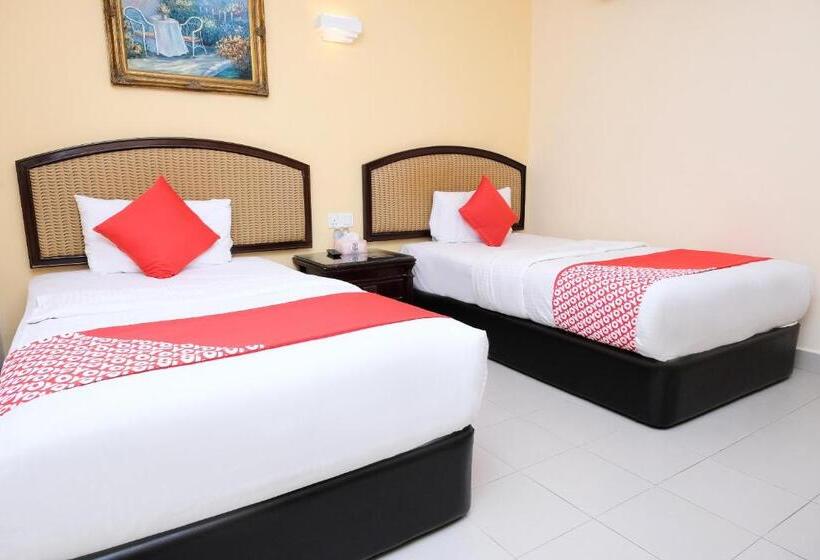 스탠다드 룸, Seven Days