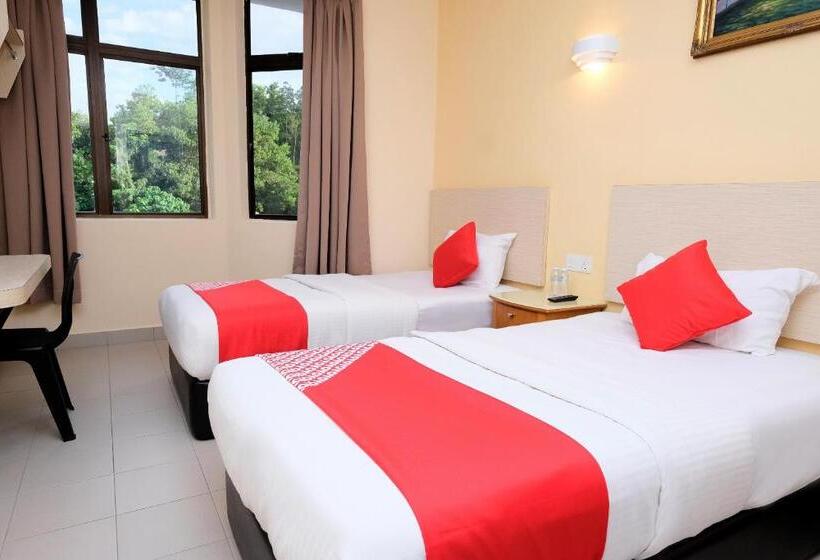 디럭스 룸, Seven Days