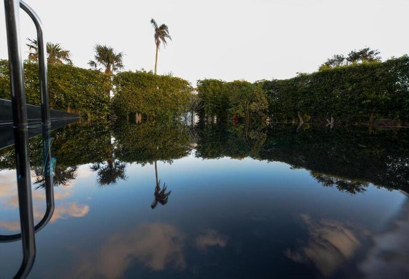 Люкс Повышенной Комфортности, Quinta Do Paraizo