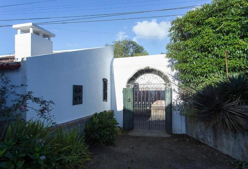 Люкс, Quinta Do Paraizo