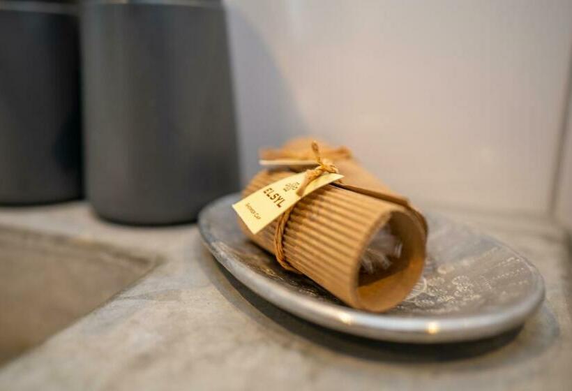 غرفة قياسية بالطابق الأرضى, Nieuw Leven Texel