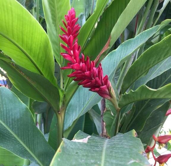 ４ベッドルームハウス, Casa Sirena