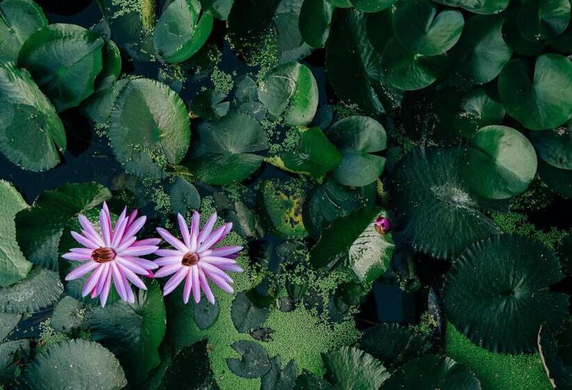 ４ベッドルームハウス, Casa Sirena