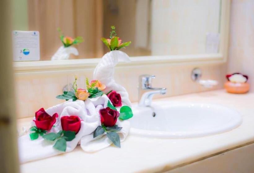 标准单人间, Amir Palace