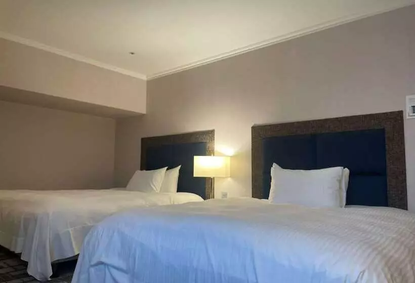エクゼクティブルーム, The Howard Plaza Hotel Kaohsiung